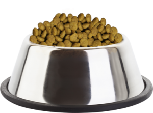 a doggy food dish